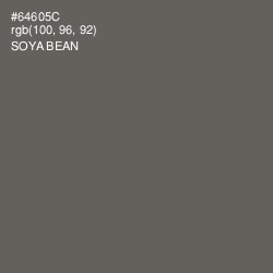 #64605C - Soya Bean Color Image